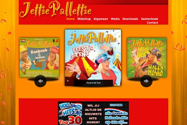 Site using Flash MP3 Player plugin
