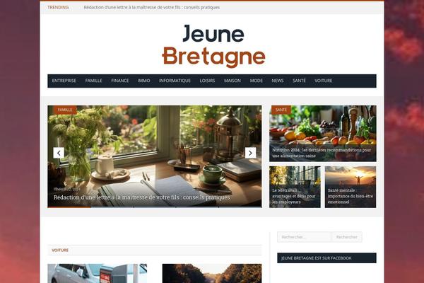 SmartMag Child theme site design template sample