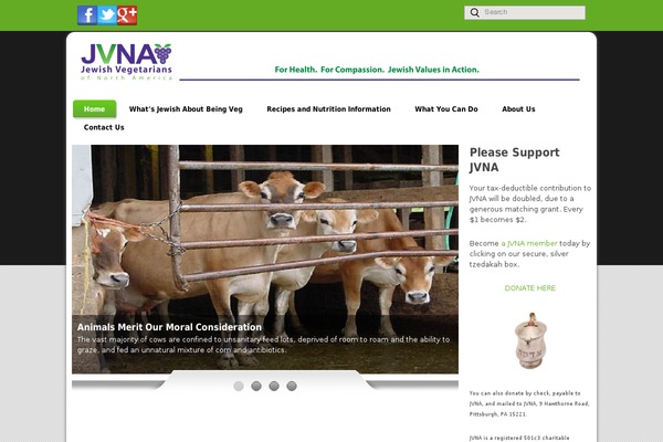 Elevationweb theme site design template sample