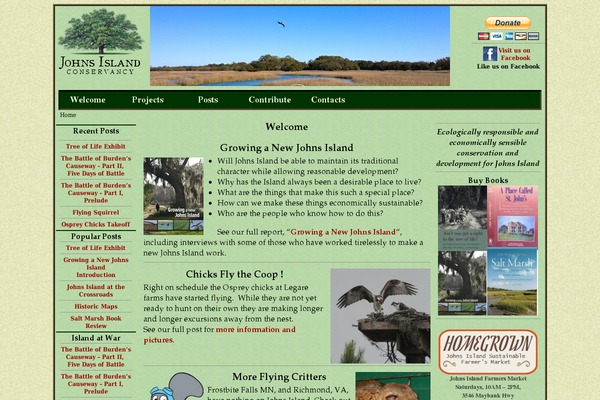 Site using Category Posts Widget plugin