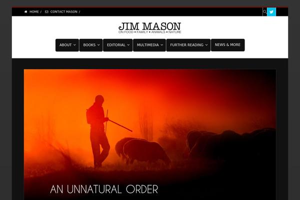 jimmason.website site used Envision Child