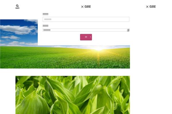 Site using Formzu-wp plugin