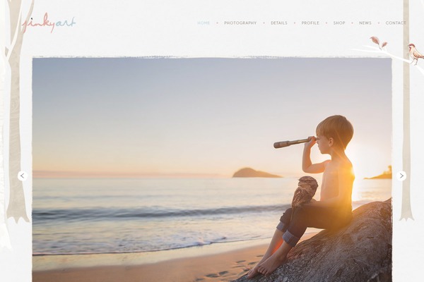 Site using WordPress prettyPhoto plugin
