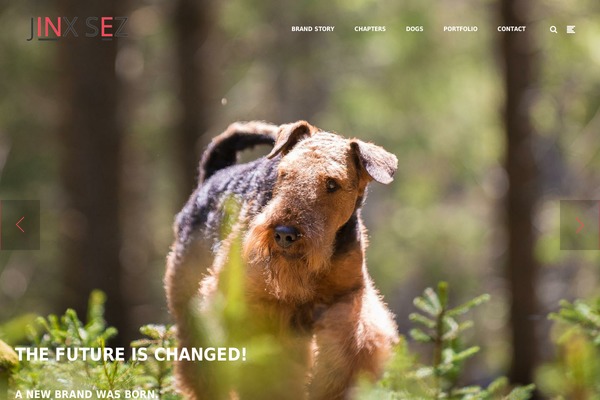 The Ken theme site design template sample