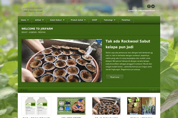 Akita theme site design template sample