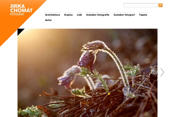 Site using Cleaner Gallery plugin