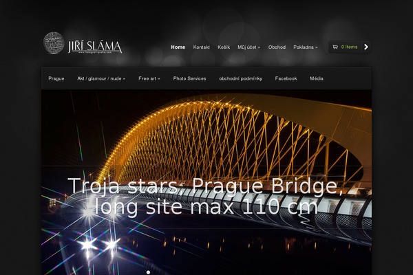 Styleshop theme site design template sample