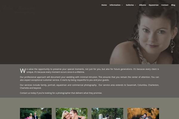 Site using Elegant Themes Icons plugin