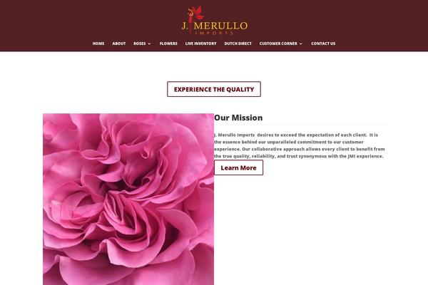 Divi theme site design template sample