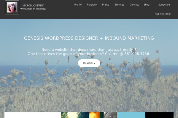 Site using To-top plugin