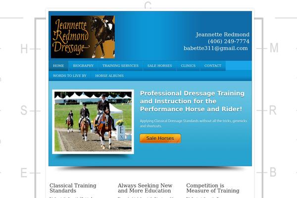 Local Business theme site design template sample