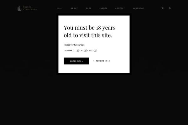Villenoir theme site design template sample