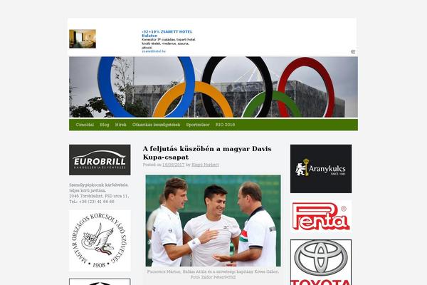Hueman-pro theme site design template sample