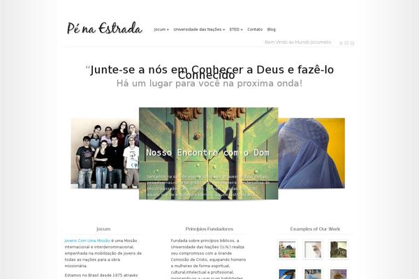 Modest theme site design template sample