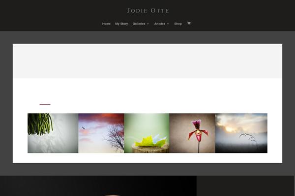 Site using WP Embed Facebook plugin