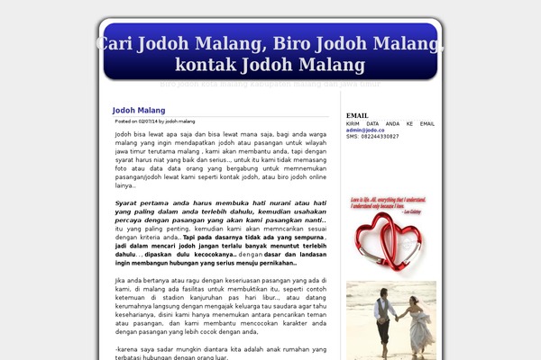 Blueberry theme site design template sample