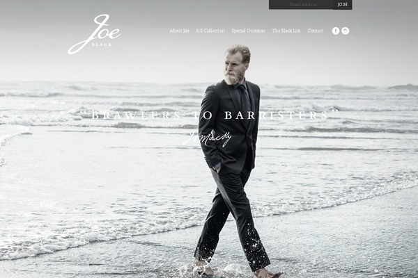 haydencustomised theme websites examples