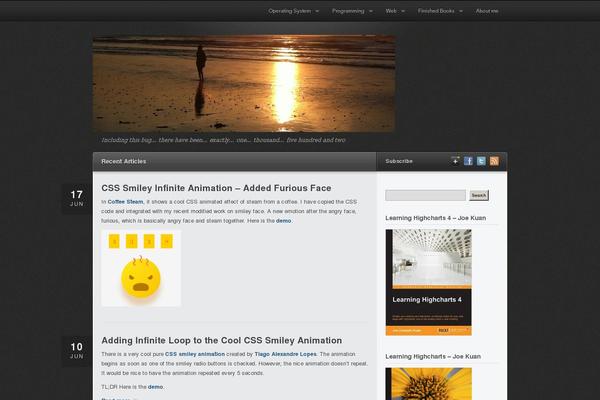Site using SyntaxHighlighter Evolved plugin