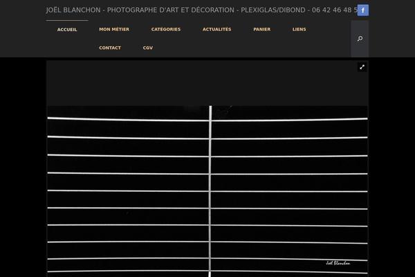 Site using WooCommerce Product Details Customiser plugin