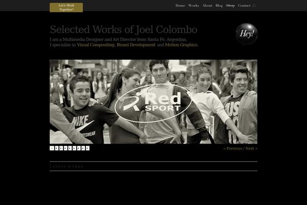 joel theme websites examples