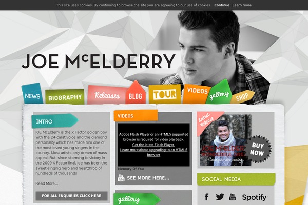 Site using Advanced Responsive Video Embedder plugin