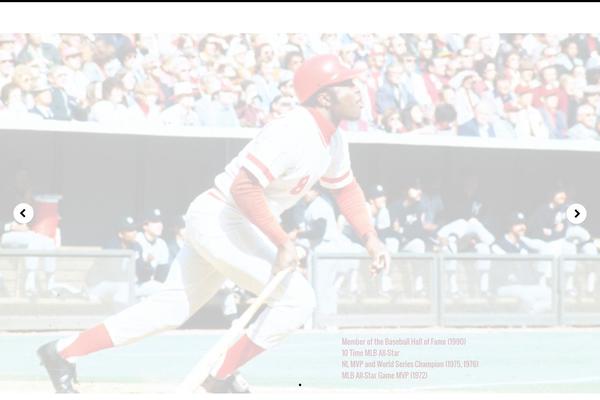 Pivot theme site design template sample