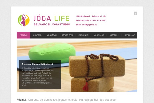 Centum theme site design template sample
