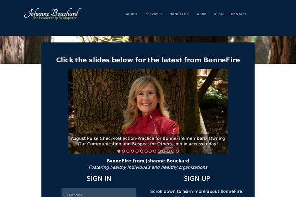 Site using Divi-builder plugin