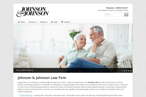 WizeLaw theme site design template sample