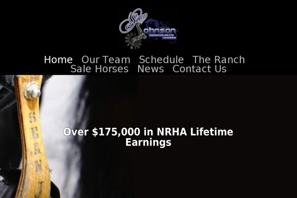 johnsonreining.com site used Tia