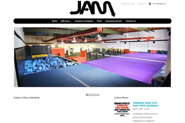 Wp Flexishop Two theme site design template sample
