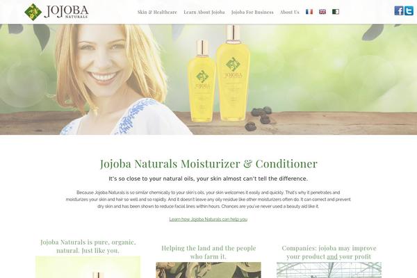Brooklyn Child theme site design template sample