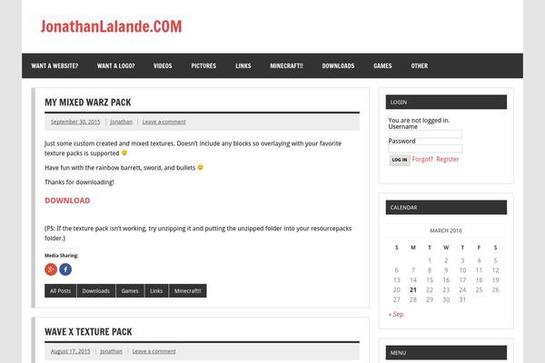 Dynamic News Lite theme site design template sample