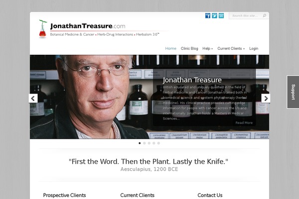 Chameleon theme site design template sample