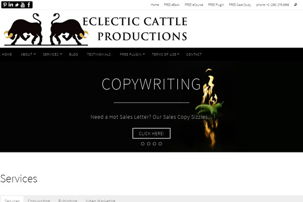 Site using Cyclone Slider plugin