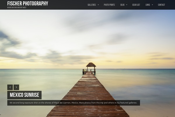 Lensa theme site design template sample