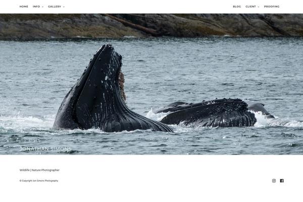 Site using Mpcx-lightbox plugin
