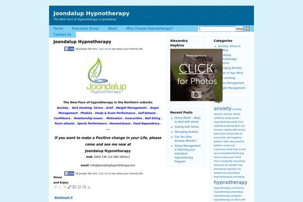 Flexi-Blue theme site design template sample