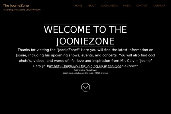 jooniezone.com site used onetone