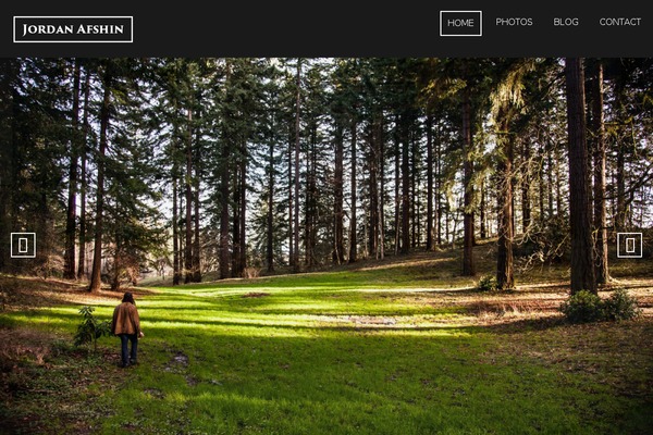 Focal theme site design template sample