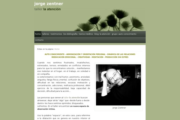 Esplanade theme site design template sample