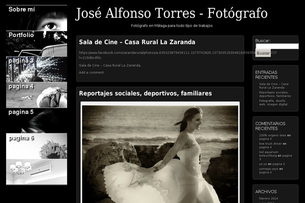 Picture Perfect theme site design template sample