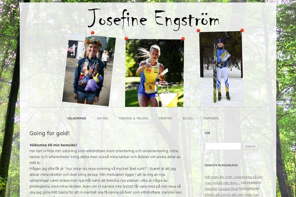 Twentytwelve-child theme site design template sample