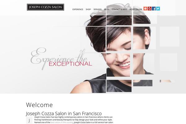 Central theme site design template sample