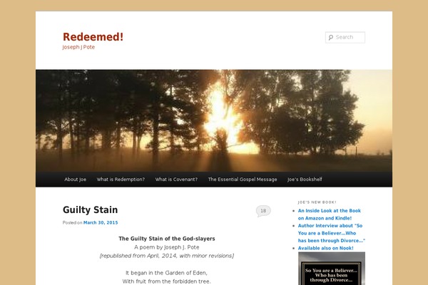 Site using Better Click To Tweet plugin