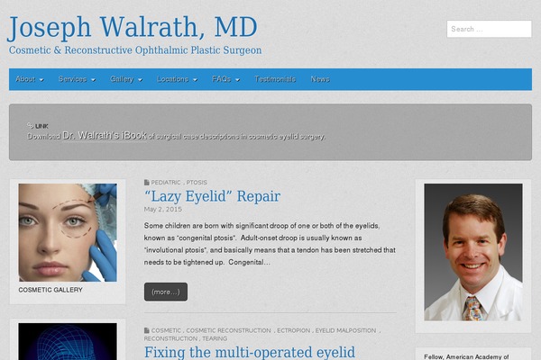 Gridiculous Pro theme site design template sample