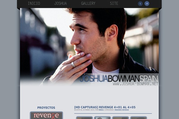 03 theme websites examples