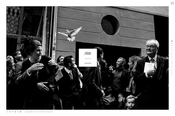 BORDER theme site design template sample