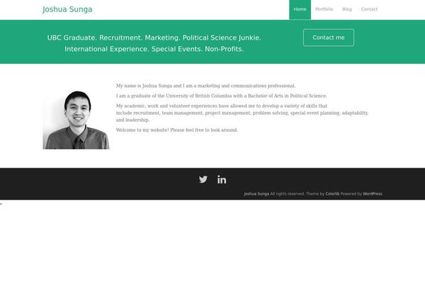 Dazzling theme site design template sample