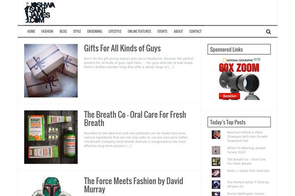 FlyMag theme site design template sample